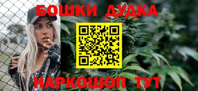 СК Боровичи
