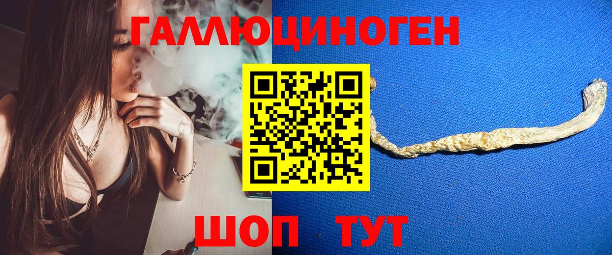 Псилоцибиновые грибы Magic Shrooms  Вход с VPN  где купить   Брянск  Псилоцибиновые грибы Magic Shrooms 